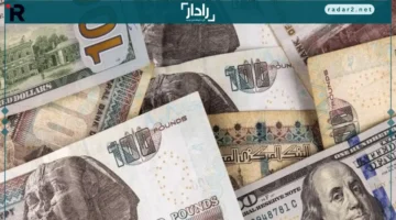 صافي مشتريات العرب والأجانب من أذون الخزانة يتجاوز 51 مليار دولار